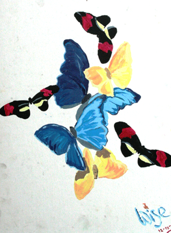 Butterflies: Acrylic on Illustration board